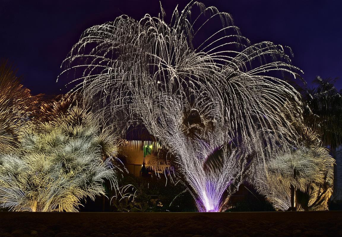 杨瀚森开拓者队训练馆独自加练，以发展联盟为成长跳板蓄力未来